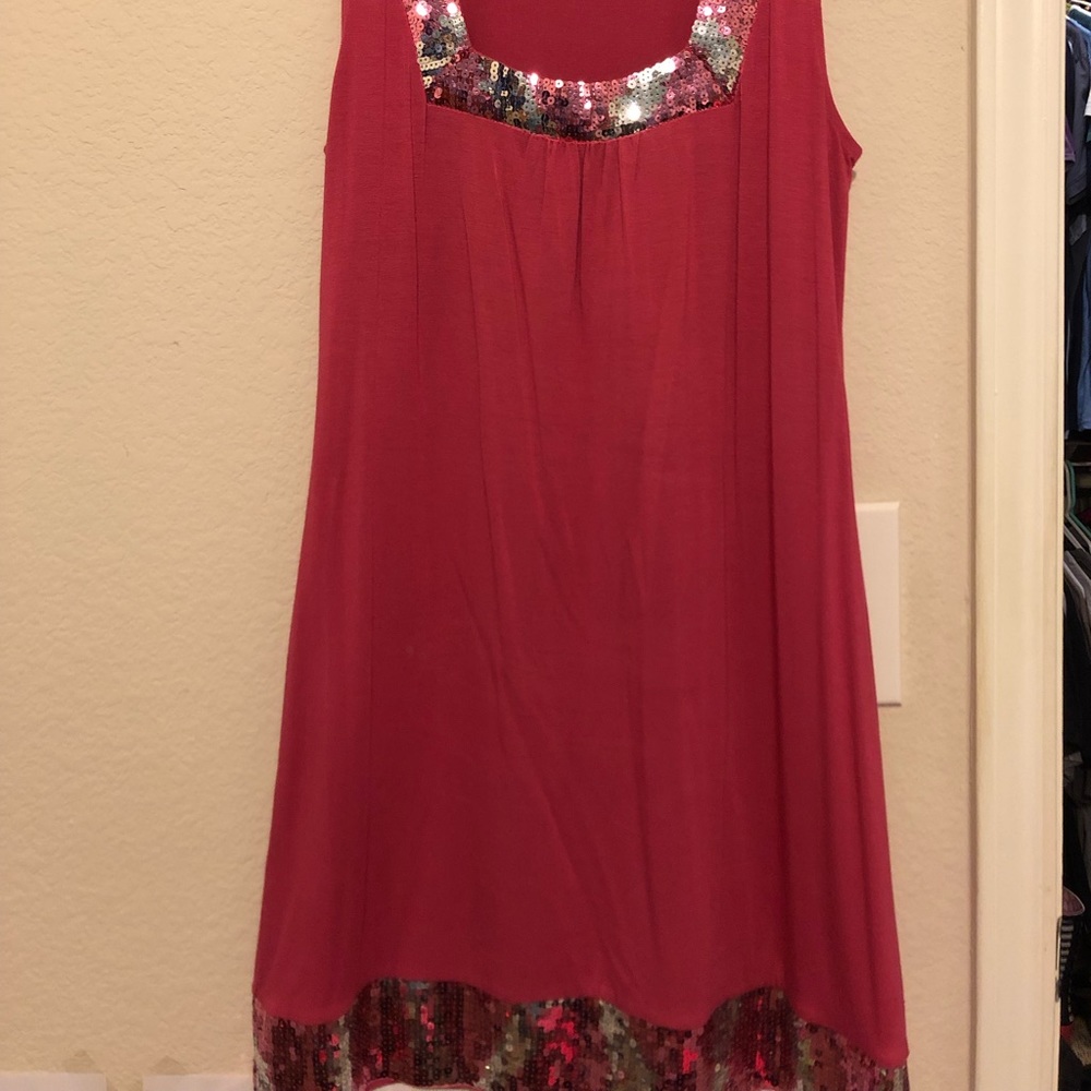 Express Sequin Pink Dress